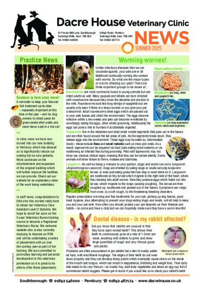 Summer 2025 newsletter