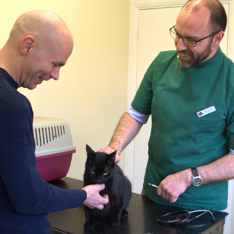 Animal health and welfare